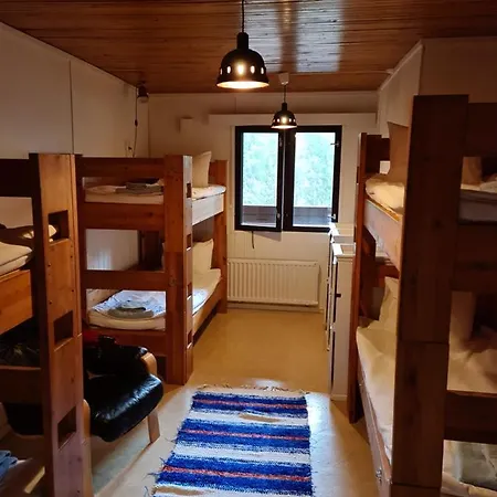 Silver Fox Экясломполо