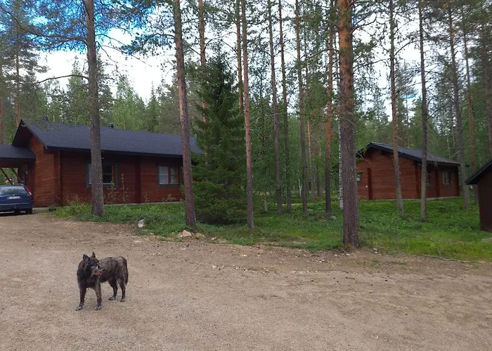 Silver Fox Äkäslompolo